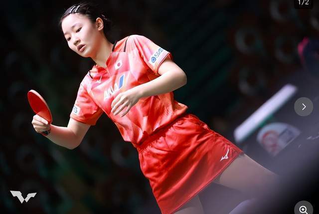 平合理性的 平合理性的