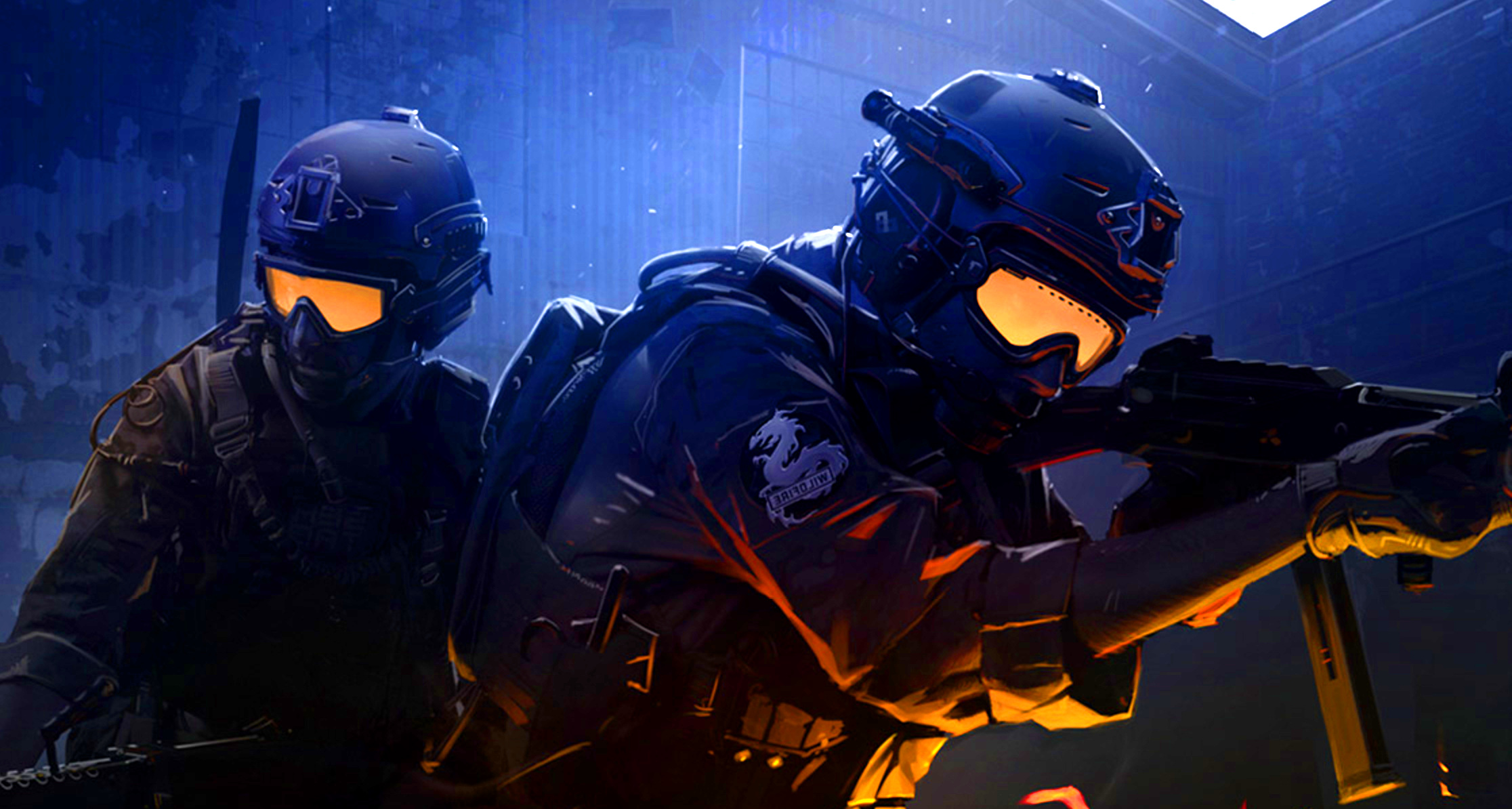 它展示了自 它展示了自